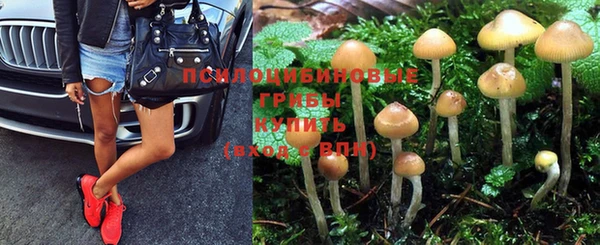 дмт Нягань
