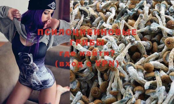 эйфоретик Нязепетровск