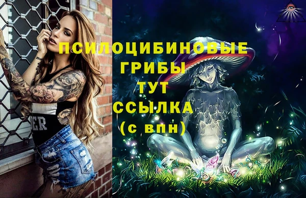 дмт Нягань