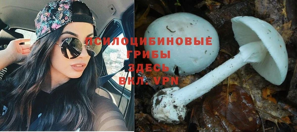 таблы Няндома